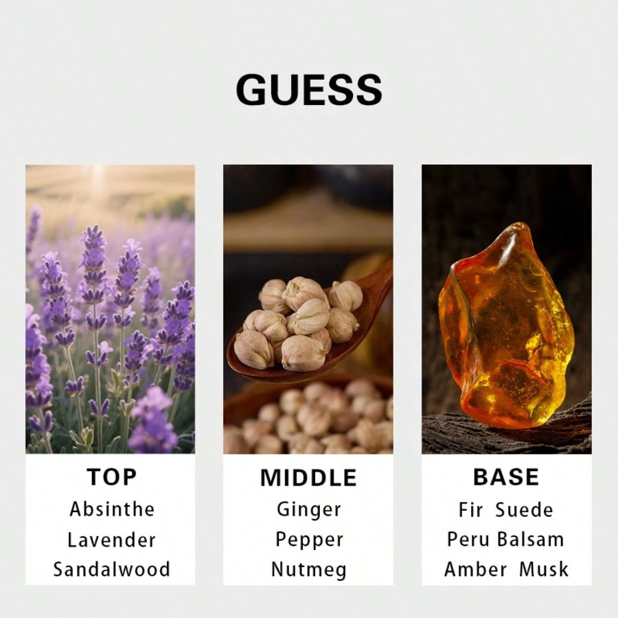 Guess Gold men Eau De Toilette - огляд і ціна Fragrance Perfume Note